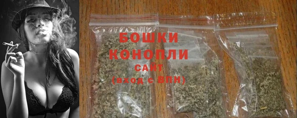 прущие грибы Балахна