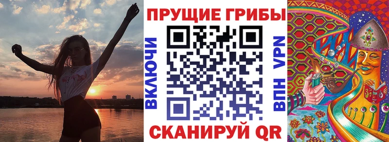 дарнет шоп  Соликамск  omg   Псилоцибиновые грибы Magic Shrooms 